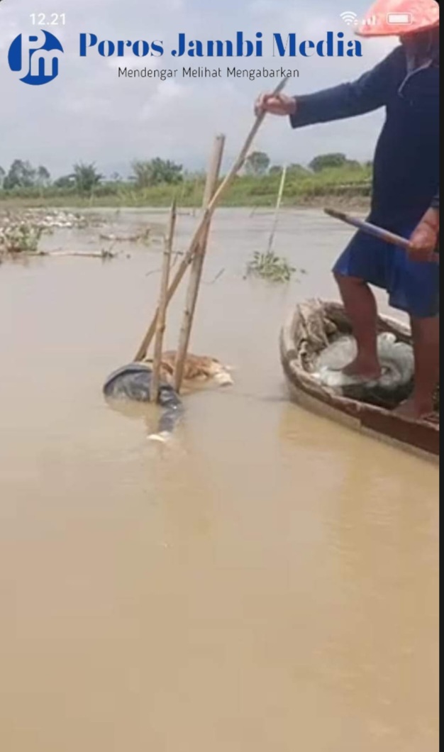 Nelayan Temukan Mayat laki laki Mengapung di Sungai Batang Merao Screenshot_20240211_135204_CapCut