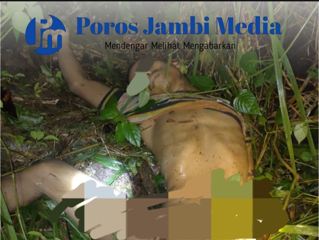Ngeri! Separuh badan nyaris habis, diduga karena dimangsa harimau Screenshot_20250108_175354_CapCut