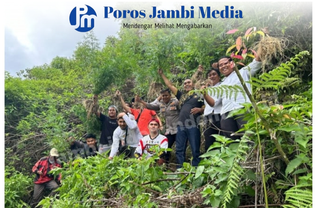 IPTU Yandra Kasat Narkoba Pimpin Pengungkapan Ladang Ganja di Lereng Gunung Kerinci Screenshot_2025-05-08-16-33-33-29_dba69a5e82e939c3ddef13f99a115ca3