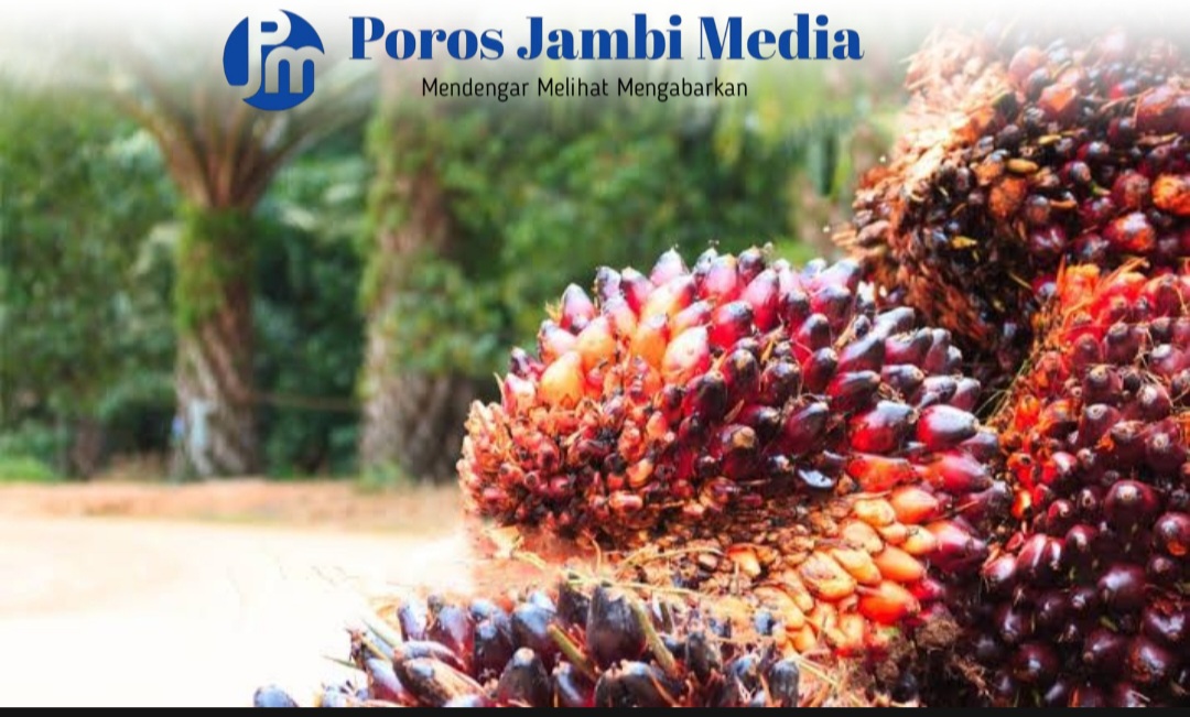 Harga TBS kelapa sawit di Provinsi Jambi naik! Screenshot_20250802_092056_CapCut