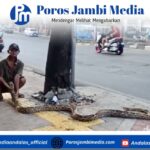 Aksi Kakek di Kramat Jati: Bentangkan Ular untuk Tegur Pemotor Nakal di Trotoar Screenshot_2025-10-17-12-36-02-30_dba69a5e82e939c3ddef13f99a115ca3