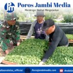 Satgas TMMD ke-126 Kodim Kerinci Pilih bibit Terong untuk ditanam Screenshot_2025-10-17-14-52-16-38_dba69a5e82e939c3ddef13f99a115ca3