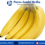 Rahasia Dibalik Pisang: Bisa Kurangi Risiko Kanker Hingga 60 Persen Screenshot_2025-10-20-08-40-04-02_dba69a5e82e939c3ddef13f99a115ca3