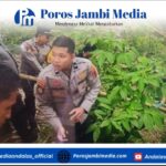 Perempuan di Bukittinggi Ditetapkan Tersangka Usai Buang Bayi ke Jurang Ngarai Sianok Screenshot_2025-10-30-14-29-53-77_dba69a5e82e939c3ddef13f99a115ca3