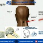 Rahasia Manfaat Es Batu di Belakang Leher: Terapi Alami untuk Redakan Stres dan Tingkatkan Energi Tubuh Screenshot_2025-11-01-08-44-32-67_dba69a5e82e939c3ddef13f99a115ca3