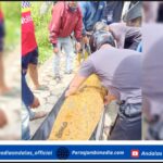 Pria 43 Tahun Ditemukan Tewas di Area Persawahan Desa Sembilan, kota Sungai Penuh Screenshot_2025-11-12-19-46-05-07_dba69a5e82e939c3ddef13f99a115ca3