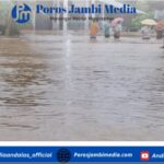 Arus Lalu Lintas Terputus Akibat Luapan Sungai Batang Pasaman di Pasaman Barat Screenshot_2025-11-25-16-29-42-37_dba69a5e82e939c3ddef13f99a115ca3