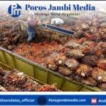 Asik Naik Lagi! Simak Harga Sawit Jambi Terbaru untuk Periode 12-18 Desember 2025 Screenshot_2025-12-15-16-39-25-76_dba69a5e82e939c3ddef13f99a115ca3
