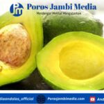Sedang Turun Berat Badan? Ini 6 Buah Tinggi Protein yang Cocok untuk Menu Diet Sehat Screenshot_2025-12-18-16-11-38-32_dba69a5e82e939c3ddef13f99a115ca3