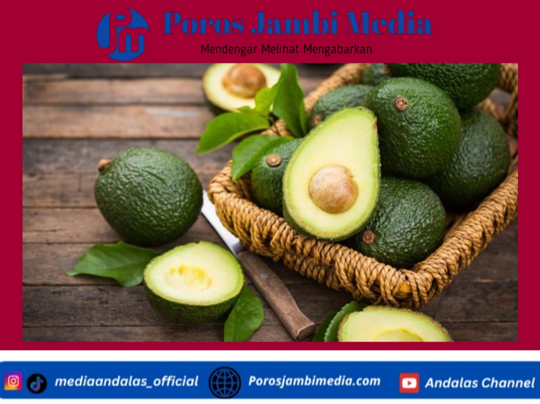 Konsumsi Alpukat Setiap Hari Selama Sebulan, Tubuh Akan Mengalami 3 Perubahan Ini Screenshot_2026-01-04-14-49-45-19_dba69a5e82e939c3ddef13f99a115ca3
