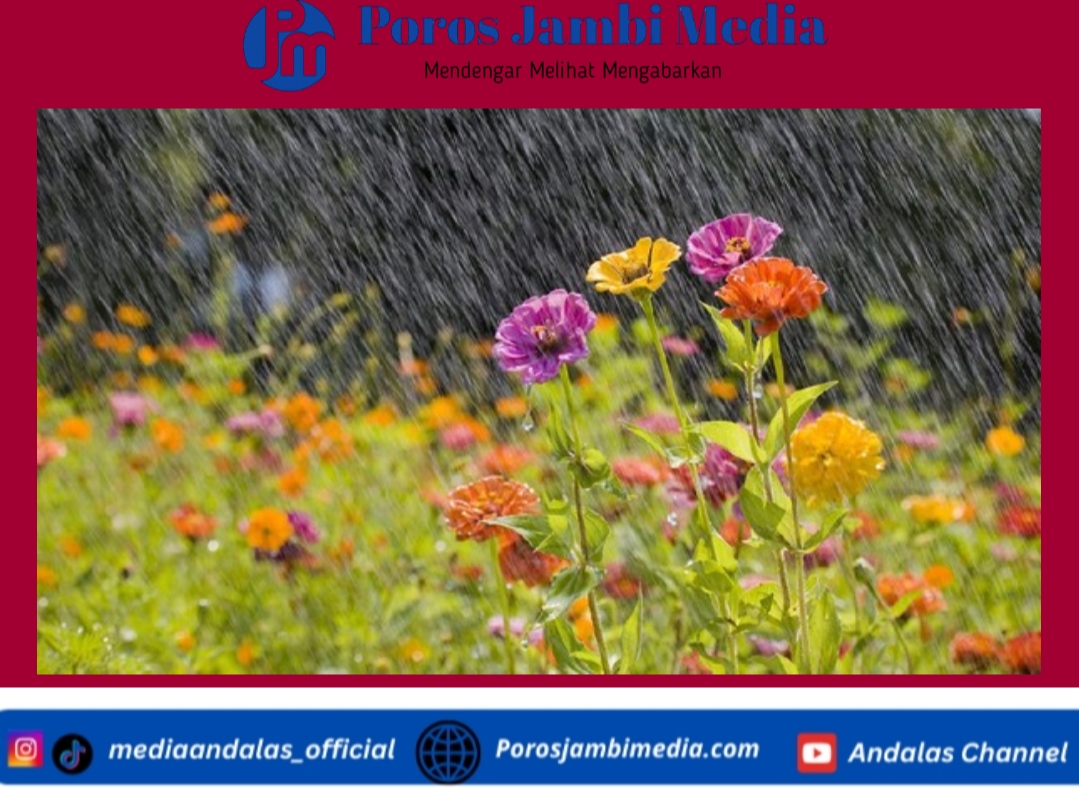 Ini Tips Merawat Tanaman Hias agar Tetap Segar dan Tidak Mudah Mati saat hujan Screenshot_2026-01-13-18-15-20-54_dba69a5e82e939c3ddef13f99a115ca3