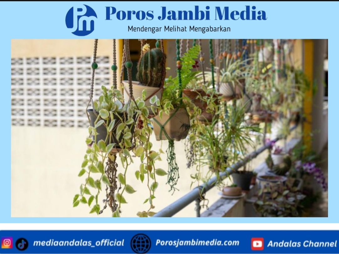 10 Cara Merawat Tanaman Hias Gantung agar Tetap Hijau, Subur, dan Awet Screenshot_2026-01-21-22-21-44-80_dba69a5e82e939c3ddef13f99a115ca3