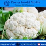 Kesalahan Memasak Kembang Kol yang Sering Tak Disadari Screenshot_2026-02-10-19-15-47-30_dba69a5e82e939c3ddef13f99a115ca3