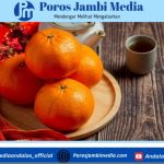Panduan Memilih Jeruk Mandarin Manis untuk Meriahkan Imlek Screenshot_2026-02-15-20-16-16-59_dba69a5e82e939c3ddef13f99a115ca3