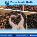 Panduan Memilih Kurma Ramadan: Kenali Negara Asal Lewat Label dan Barcode Screenshot_2026-02-25-20-31-48-61_dba69a5e82e939c3ddef13f99a115ca3