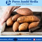 Manfaat dan Kandungan Gizi Ubi Rebus, Benarkah Cocok untuk Diet? Screenshot_2026-05-02-19-40-49-10_dba69a5e82e939c3ddef13f99a115ca3