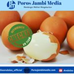 5 Dampak Positif pada Tubuh Jika Rutin Makan Telur Rebus Setiap Hari Screenshot_2026-05-10-13-10-47-07_dba69a5e82e939c3ddef13f99a115ca3