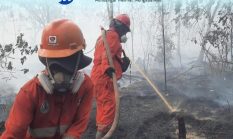 berita-pilihan-foto